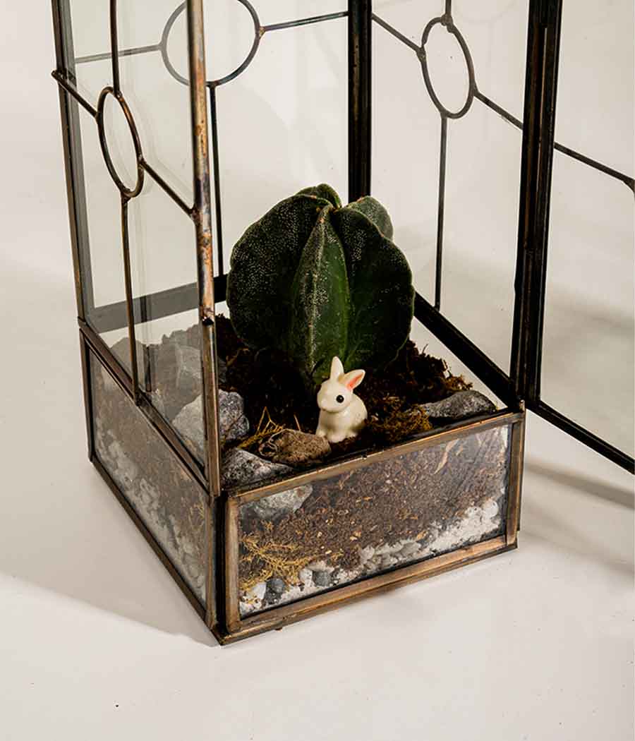 Nairobi Terrarium Tall