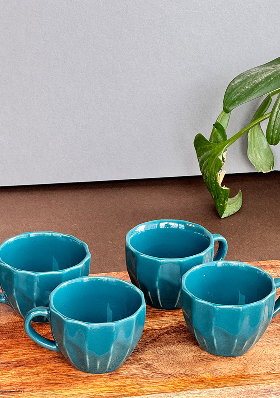 Kingfisher Mugs