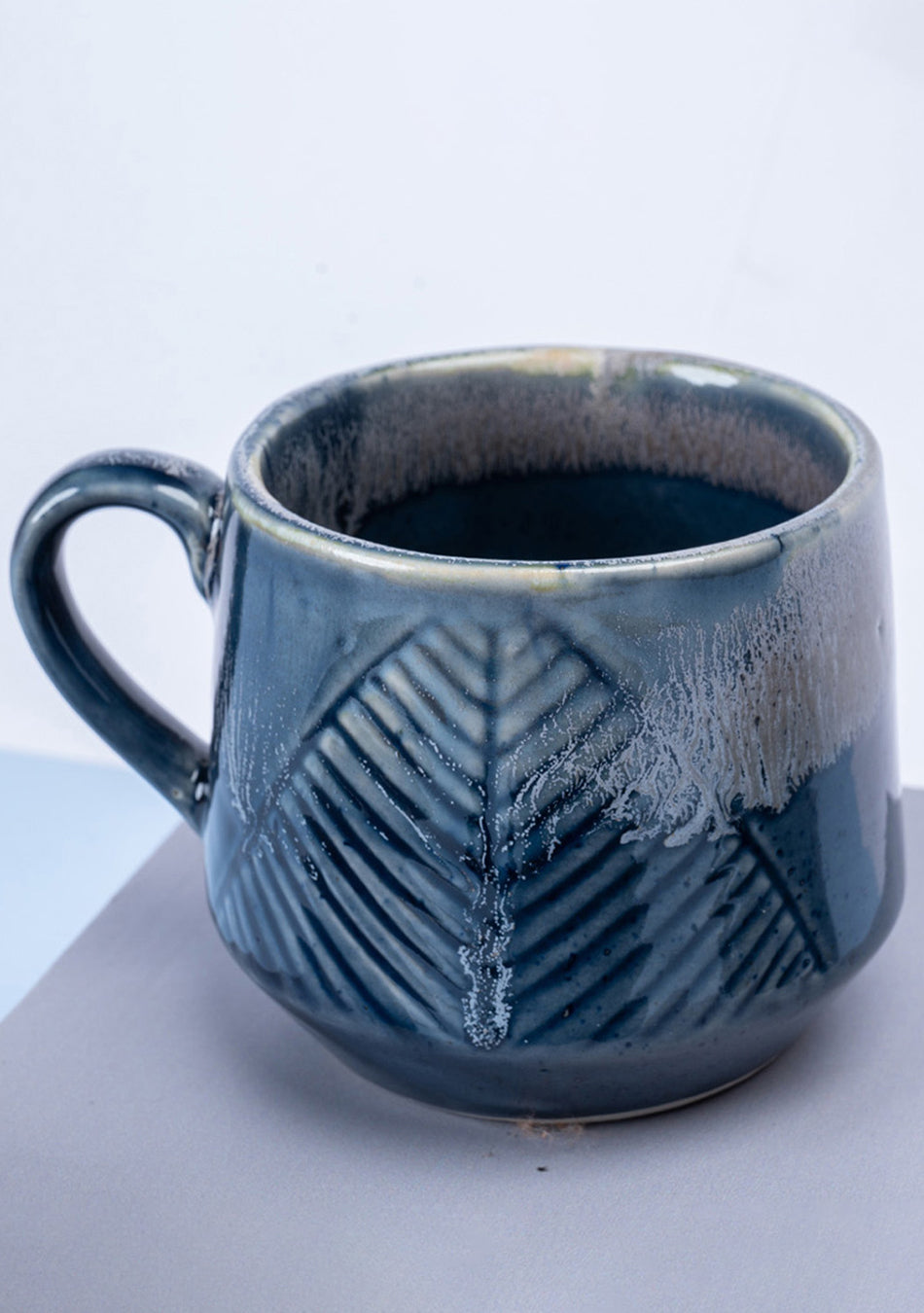 Gnatcatcher Ceramic Mugs, Set of 2