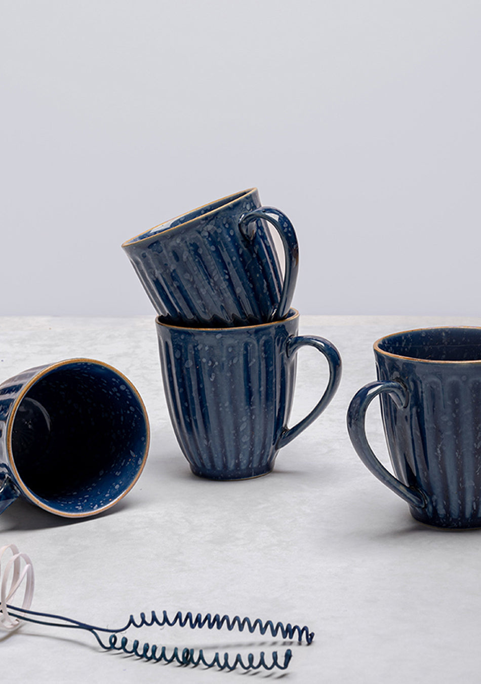 Whistling Thrush Mugs