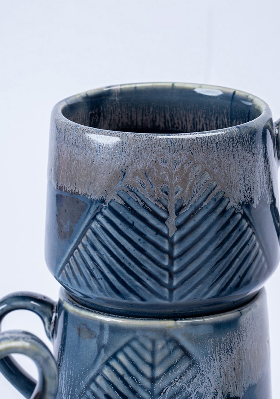 Gnatcatcher Ceramic Mugs, Set of 2