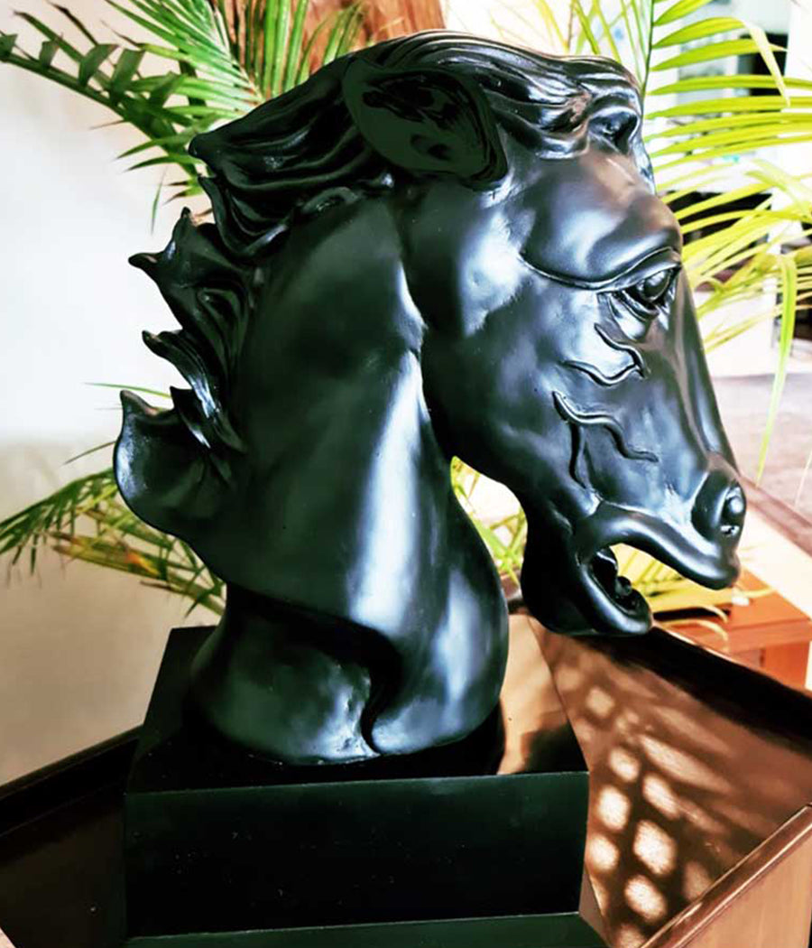 Black Beauty Horse Head (plain)