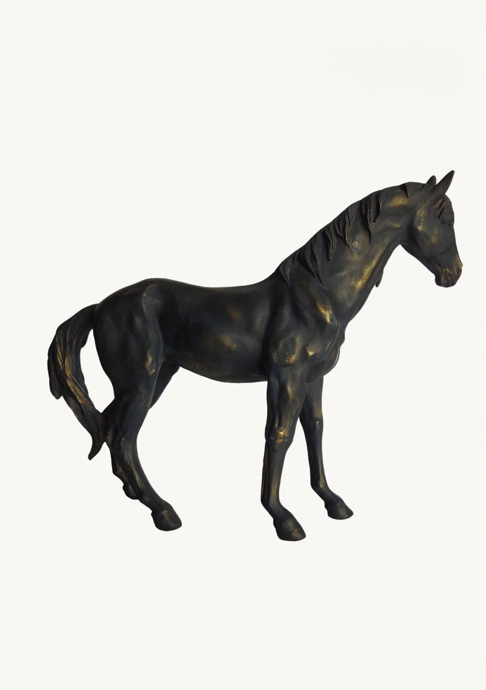 Vintage Black Stallion