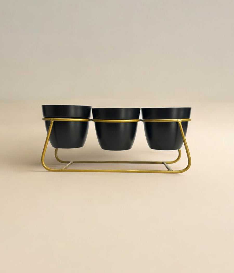 Desktop Pot Trio