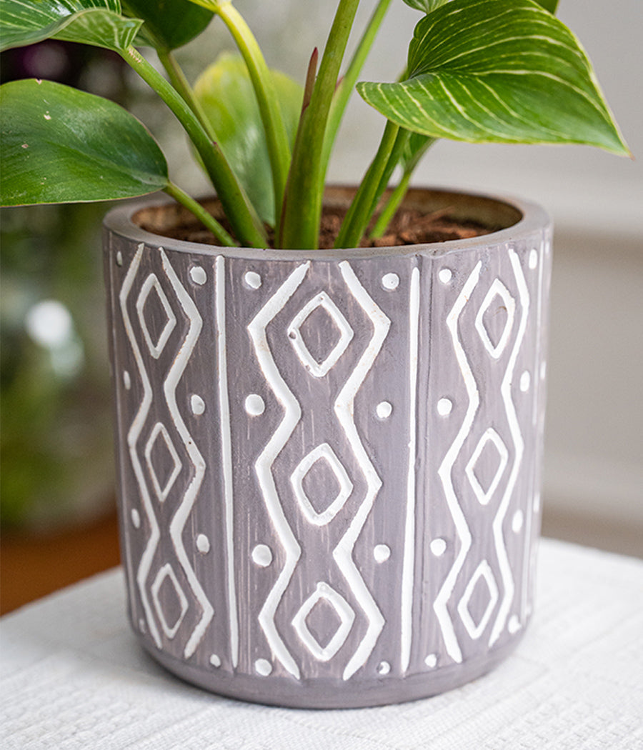 Philodendron Birkin in Tribal Ceramic Planter