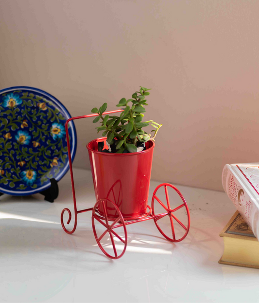 Red Wheelbarrow Pot