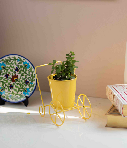 Yellow Wheelbarrow Pot