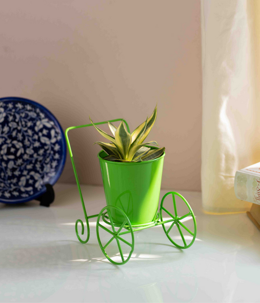 Green Wheelbarrow Pot