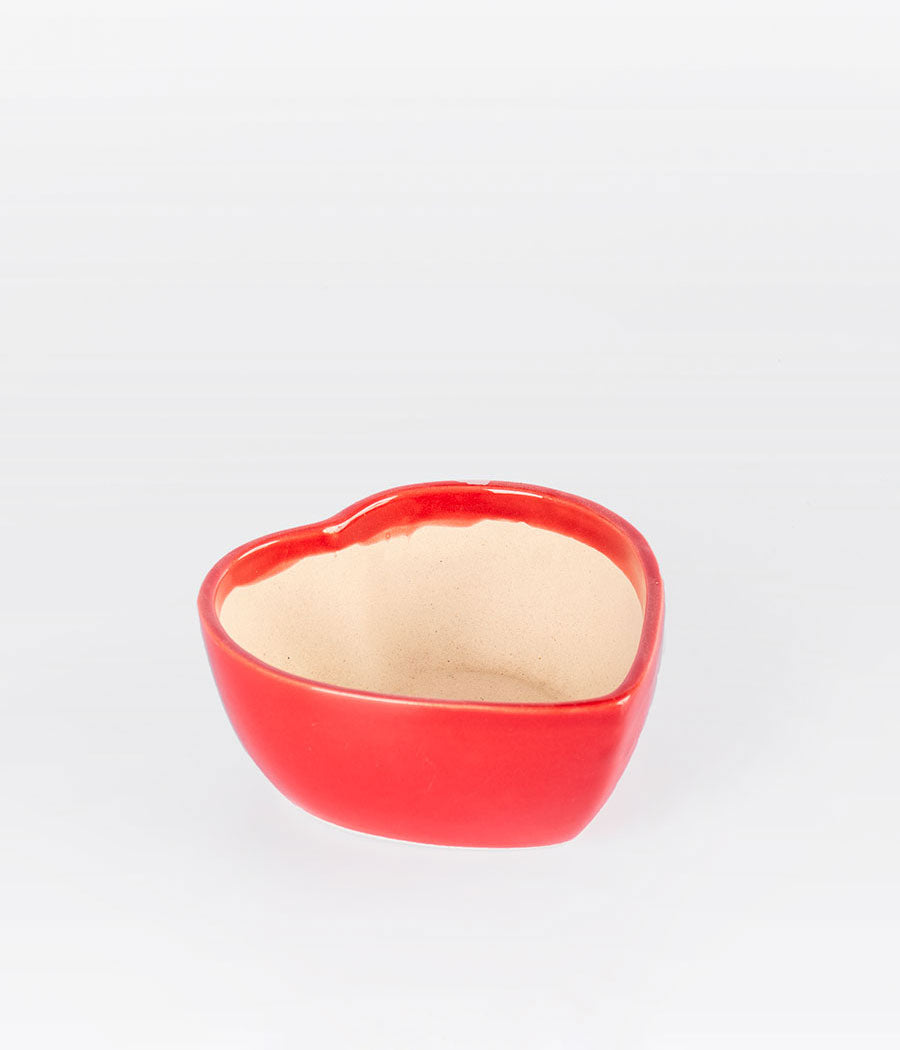 Heart Shaped Ceramic Planter
