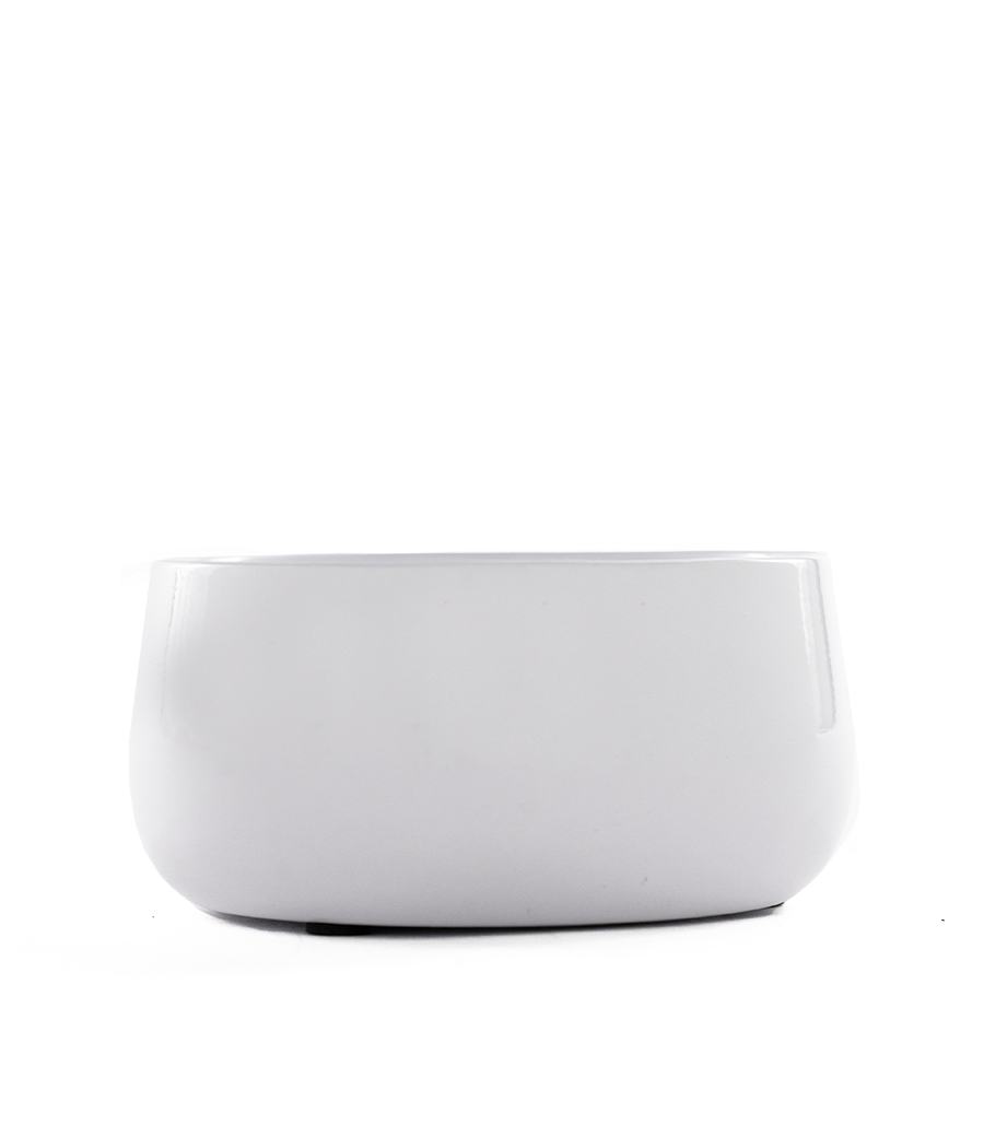 ivory bowl pot