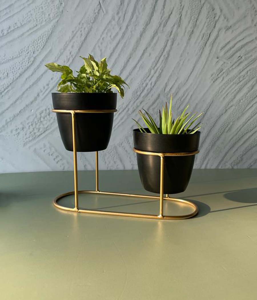 Desktop Pot Duo With Golden Stand