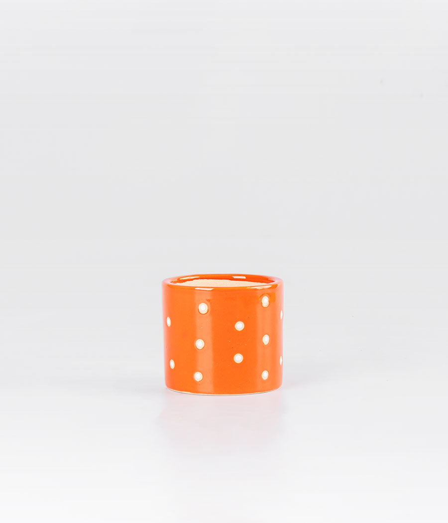 Buy Orange Dotted Planter Online