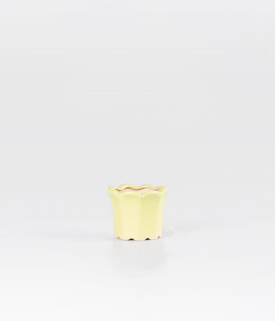 Tulip-Shaped Green Planter Online 