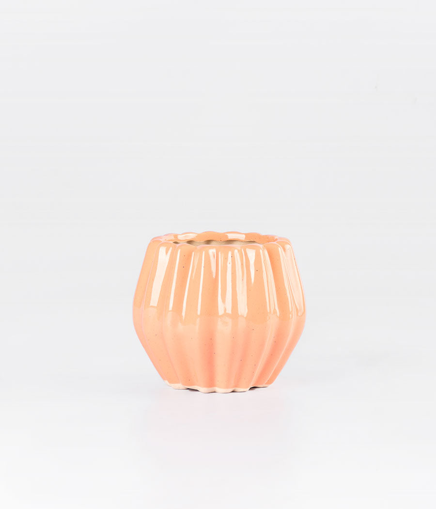 Quirky Hexadecagon Pink Planter