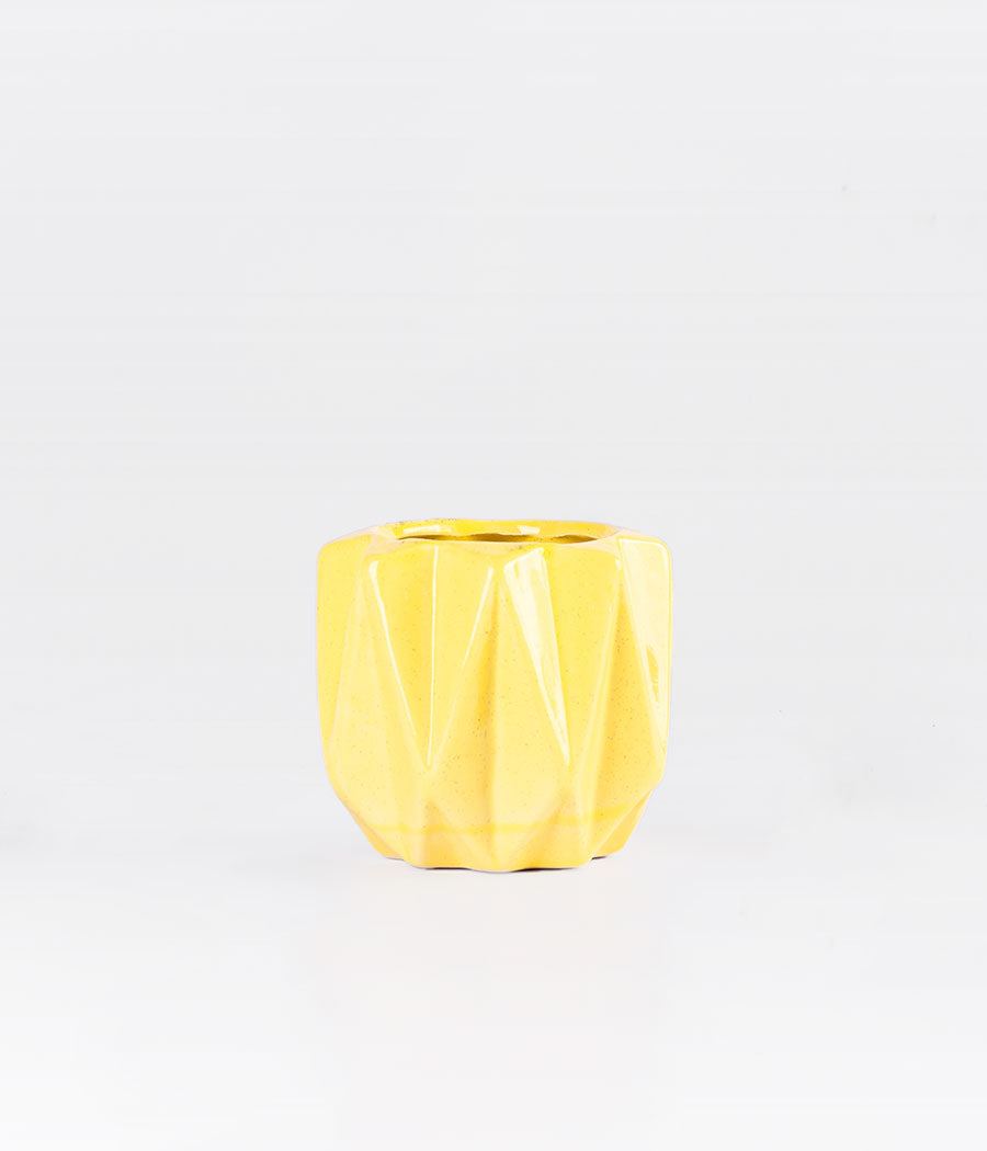 Yellow Cement Folding Plated Planter Online