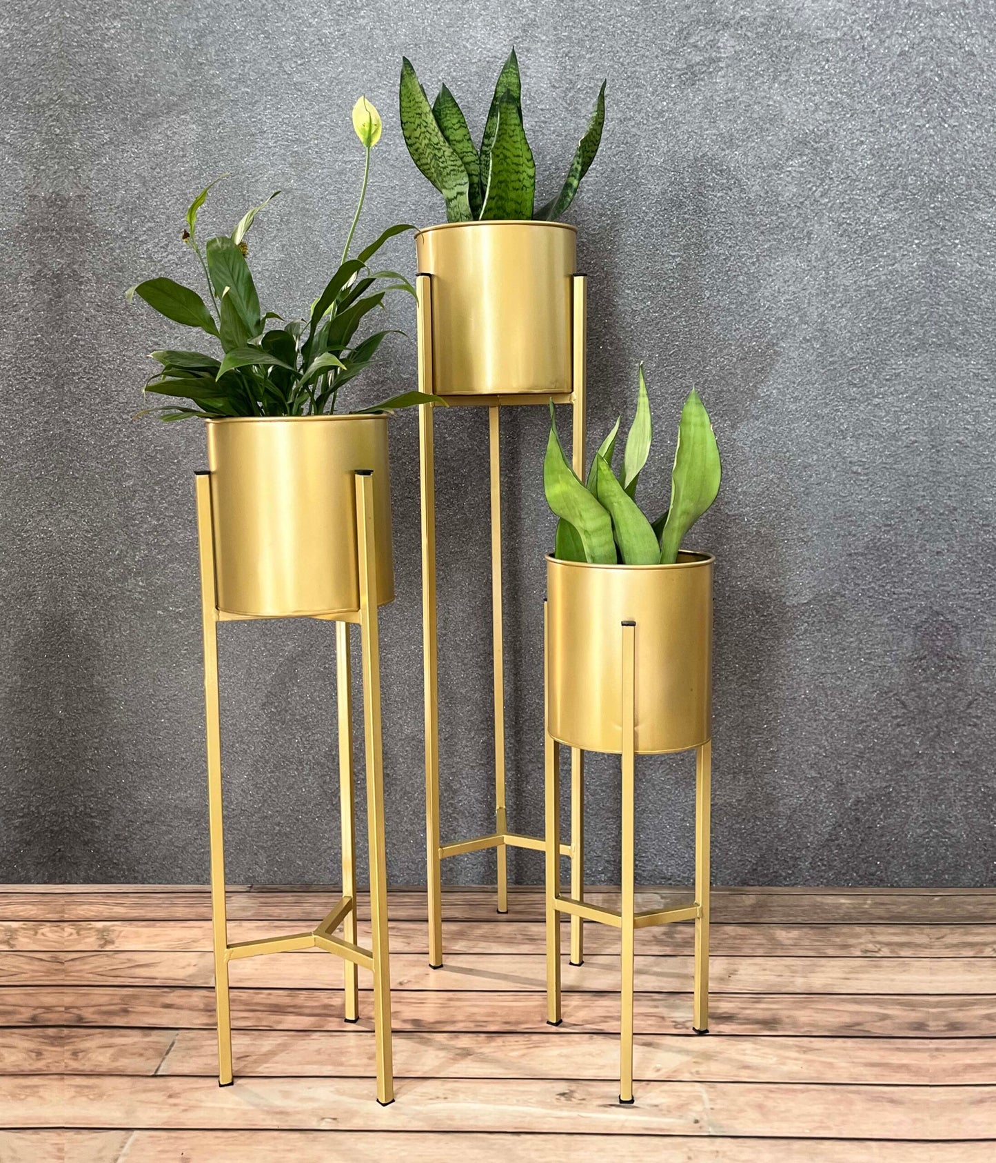 Indoor Golden Metal Planters with Stands