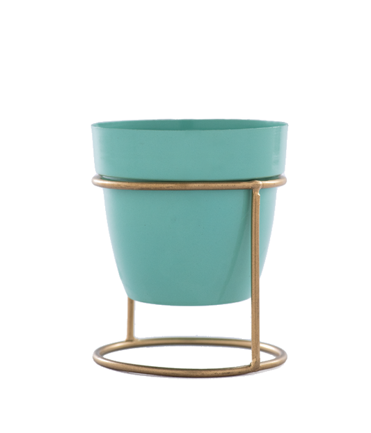 Teal Pot with Stand
