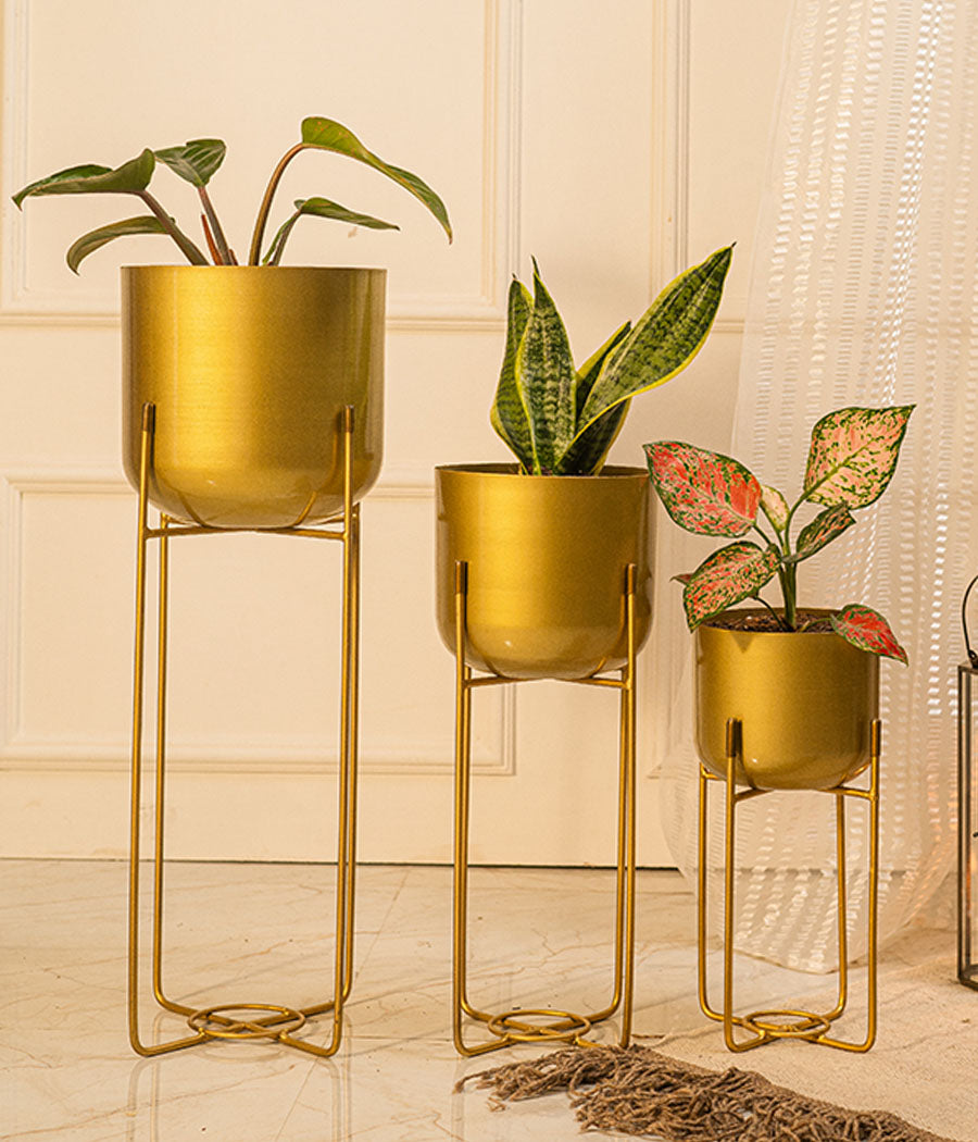 Golden Rounded Brass Metal Planter