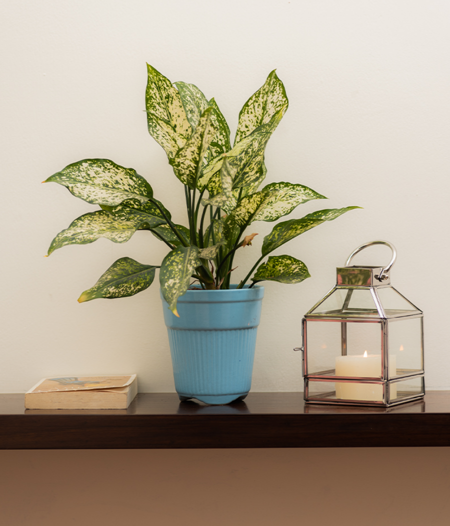 Tall Blue Ceramic Planter