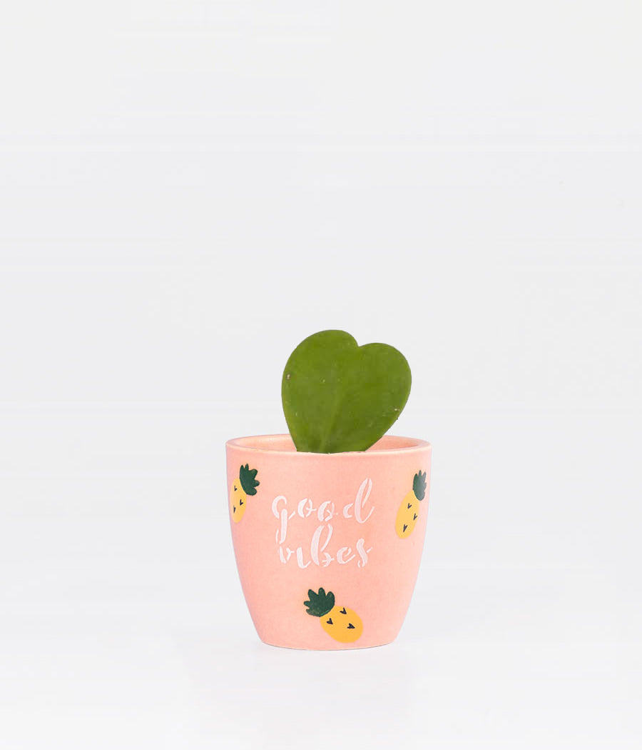 HOYA HEART WITH GOOD VIBES PLANTER