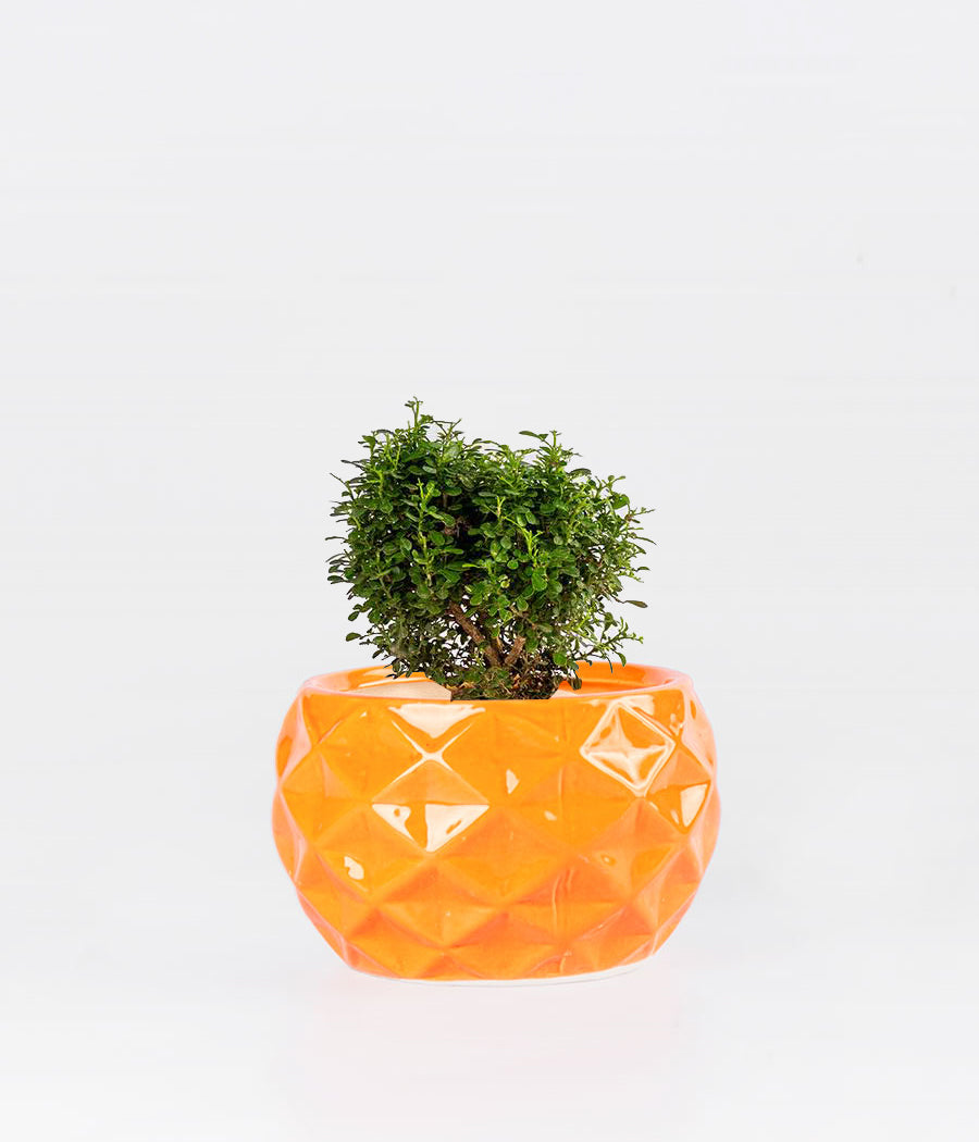 KAMINI TABLE IN ORANGE DIAMOND CUT PLANTER