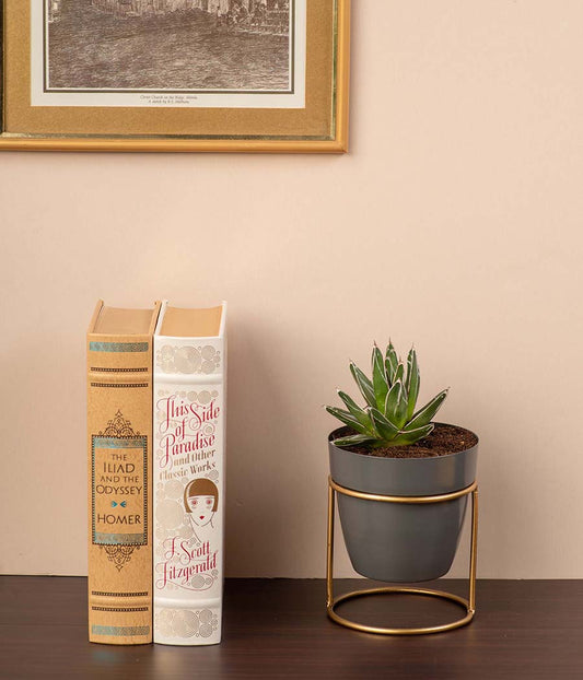 grey metal planter with golden stand