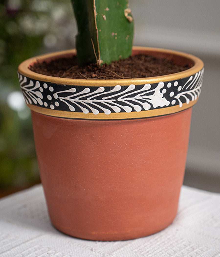Moon Cactus in Handpainted Terracotta Pot