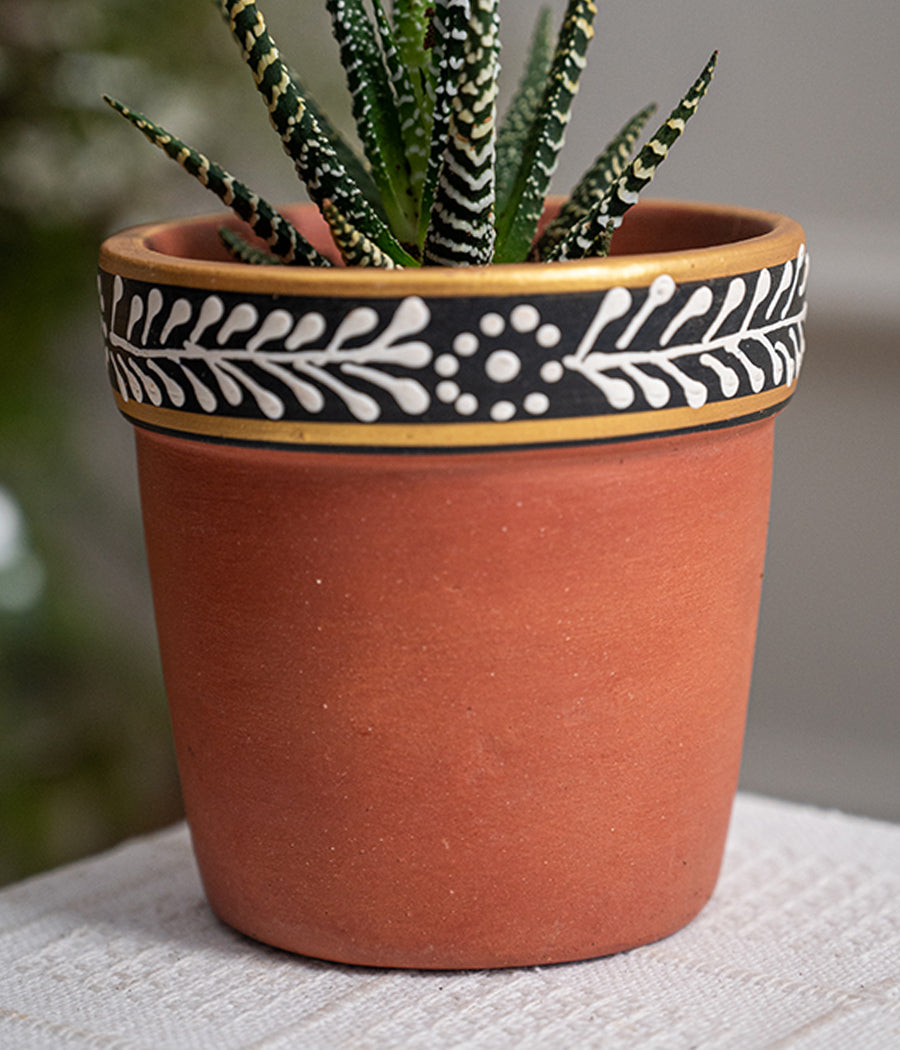 Hawarthia Zebra Plant in Handpainted Terracotta Pot