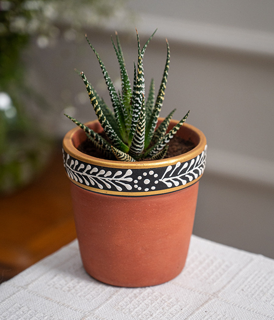Hawarthia Zebra Plant in Handpainted Terracotta Pot