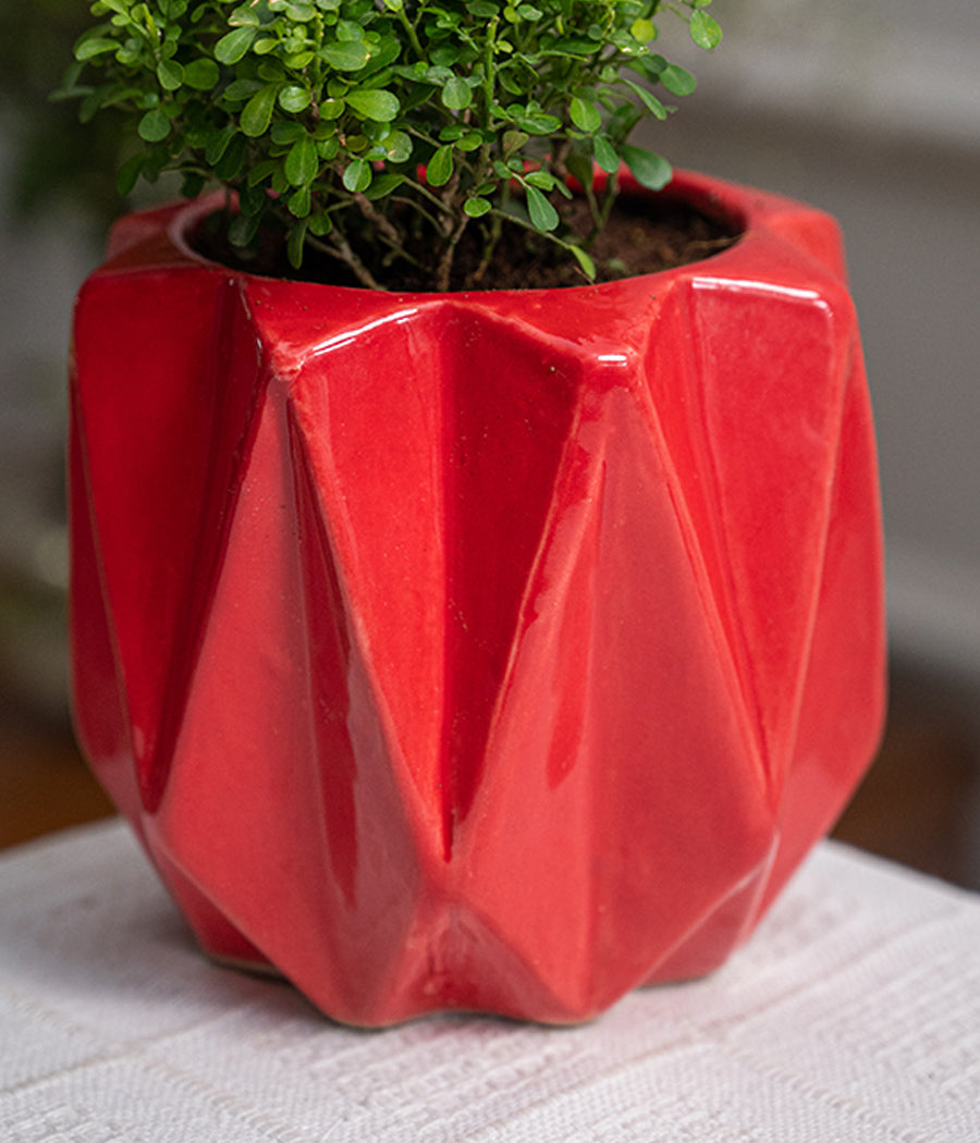 Kamini Table in Spiked Ceramic Pot